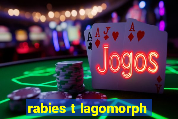 rabies t lagomorph