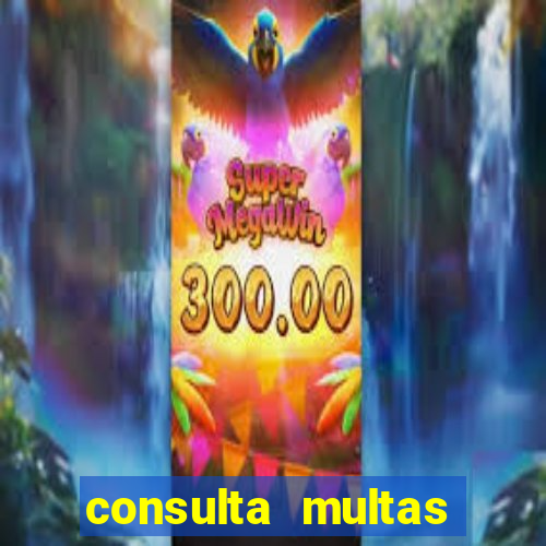 consulta multas detran mg
