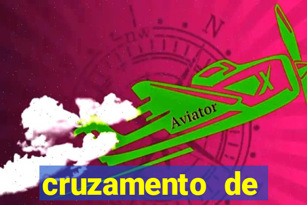 cruzamento de cavalo com mula