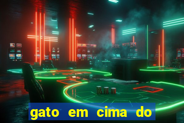 gato em cima do telhado significado espiritual