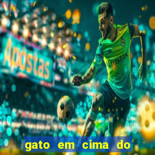 gato em cima do telhado significado espiritual