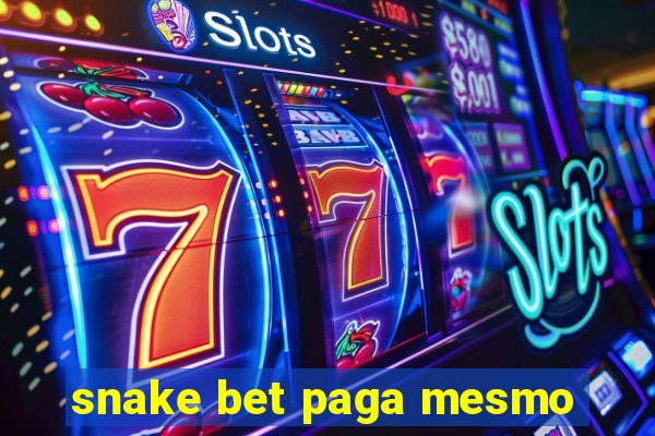 snake bet paga mesmo