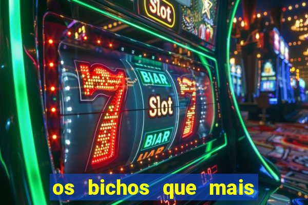 os bichos que mais saem na loteria federal