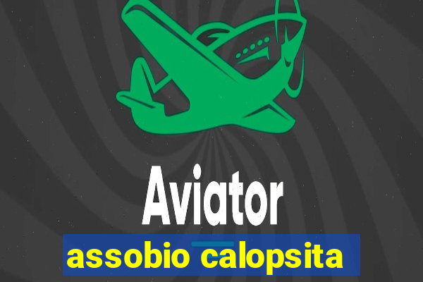 assobio calopsita