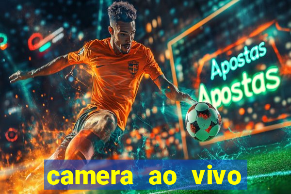 camera ao vivo beto carrero