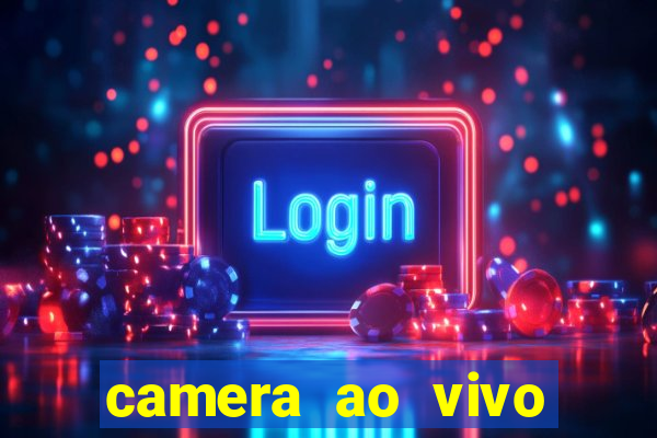 camera ao vivo beto carrero