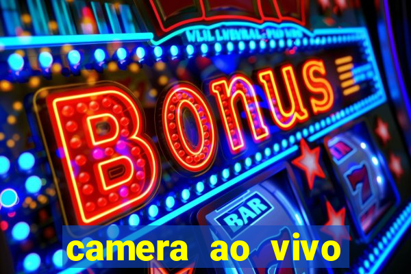 camera ao vivo beto carrero
