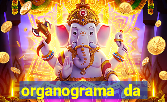 organograma da cacau show