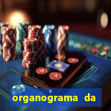 organograma da cacau show