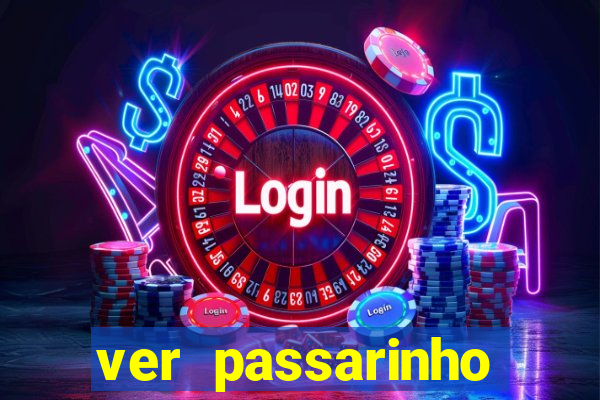 ver passarinho morto significado