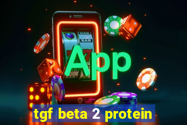 tgf beta 2 protein