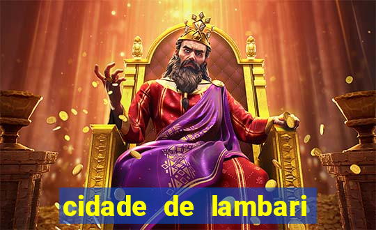 cidade de lambari sao paulo