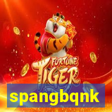 spangbqnk