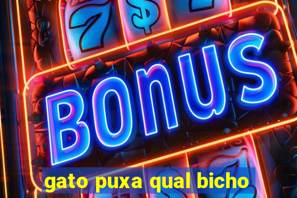 gato puxa qual bicho