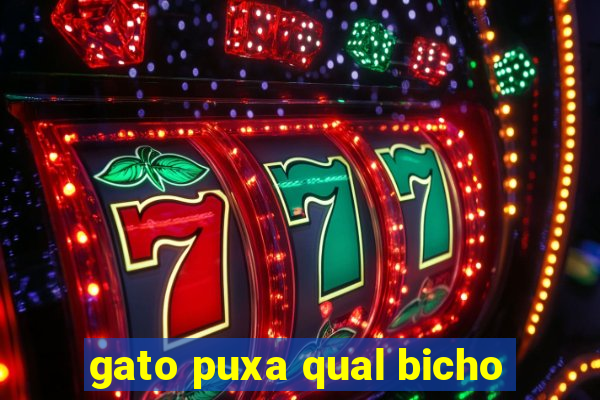 gato puxa qual bicho