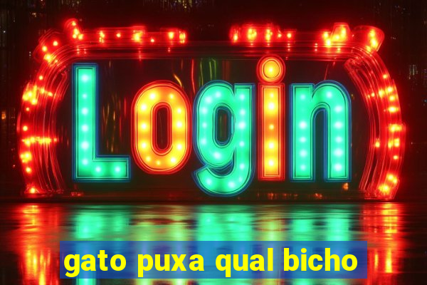 gato puxa qual bicho