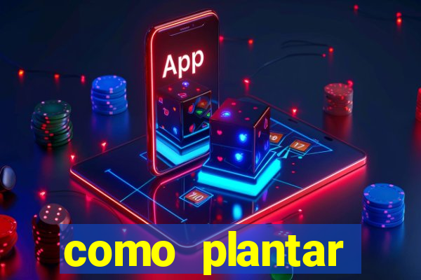 como plantar gergelim no vaso