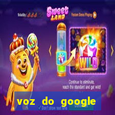 voz do google tradutor homem