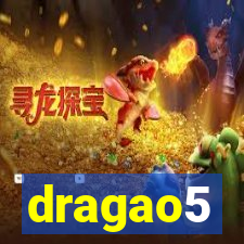 dragao5