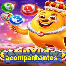 acompanhantes travestis bh