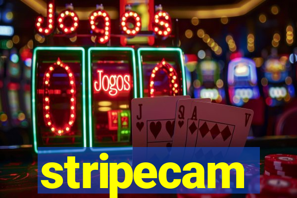 stripecam