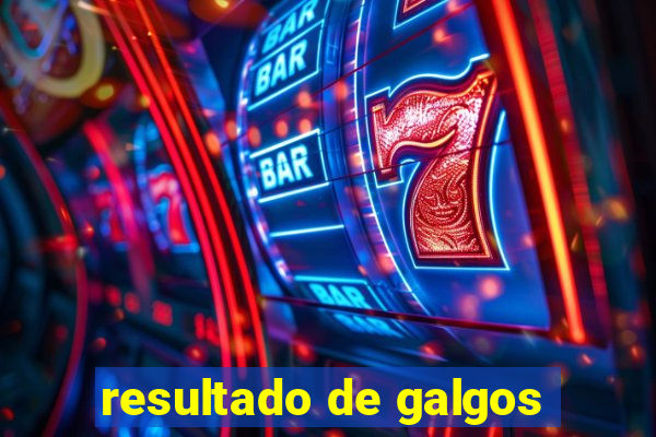 resultado de galgos