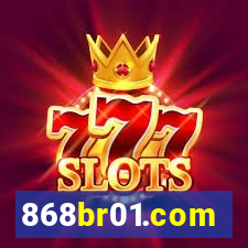868br01.com