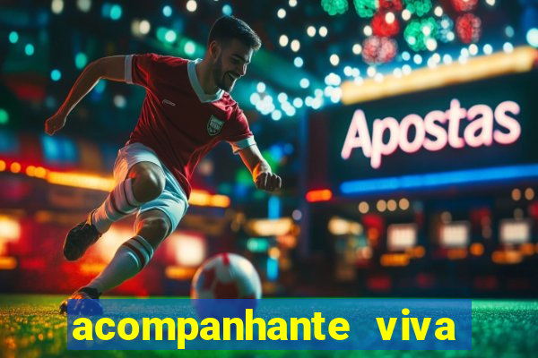 acompanhante viva local baixada fluminense