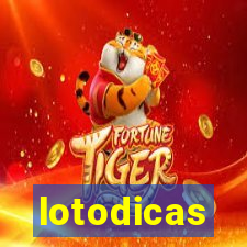 lotodicas