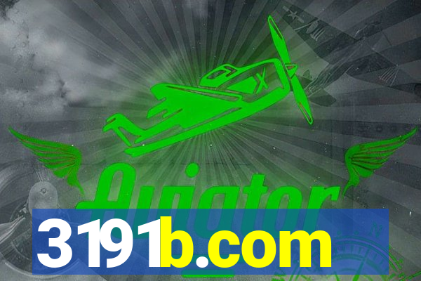 3191b.com