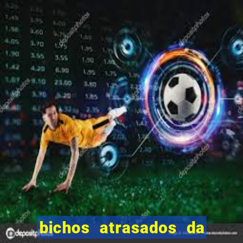 bichos atrasados da loteria federal