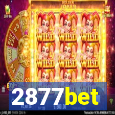 2877bet
