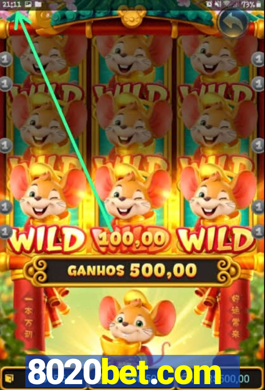 8020bet.com