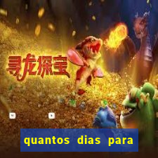 quantos dias para limpar o leite da vaca