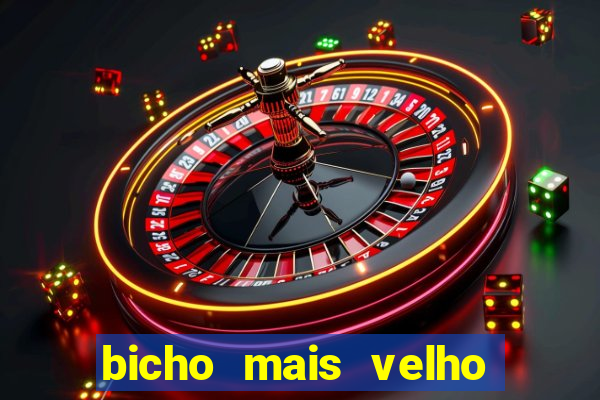 bicho mais velho da loteria dos sonhos