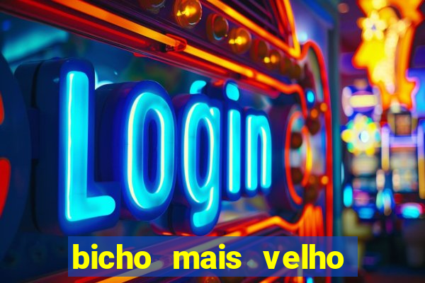 bicho mais velho da loteria dos sonhos