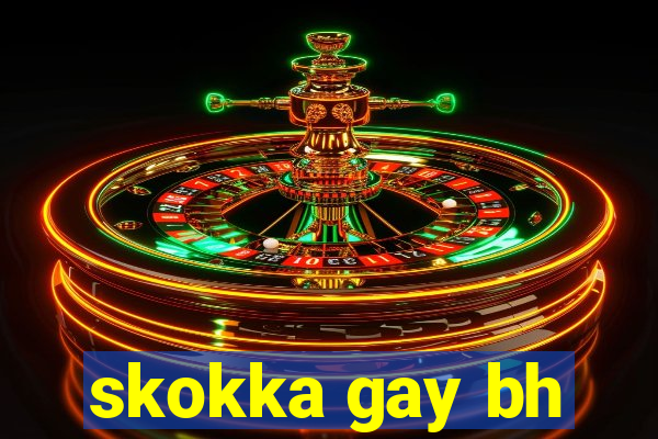 skokka gay bh