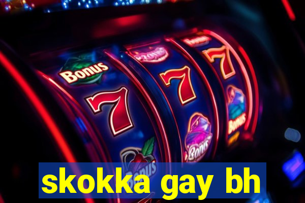 skokka gay bh