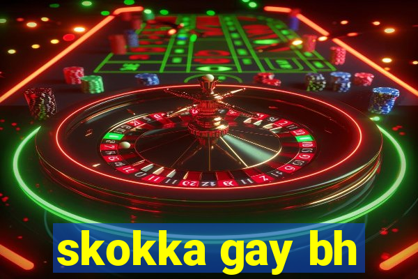 skokka gay bh