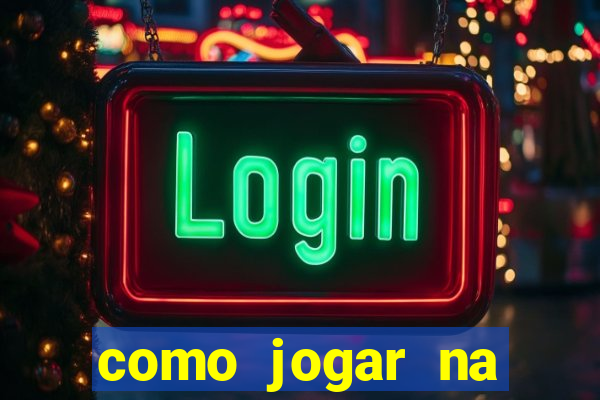 como jogar na lotinha do jogo do bicho