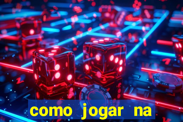 como jogar na lotinha do jogo do bicho