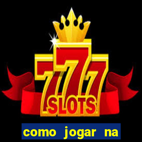 como jogar na lotinha do jogo do bicho