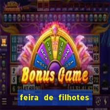 feira de filhotes porto alegre