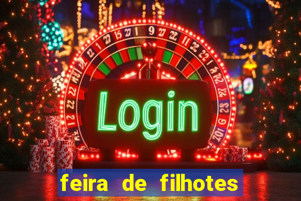 feira de filhotes porto alegre