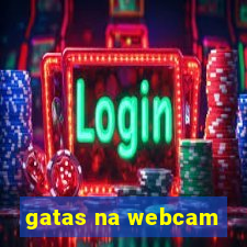 gatas na webcam
