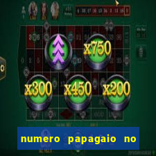 numero papagaio no jogo do bicho