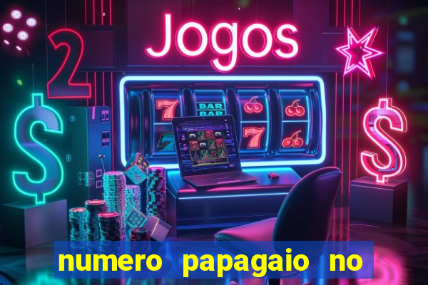 numero papagaio no jogo do bicho