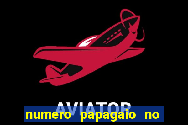 numero papagaio no jogo do bicho