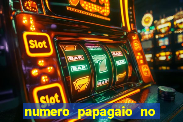 numero papagaio no jogo do bicho