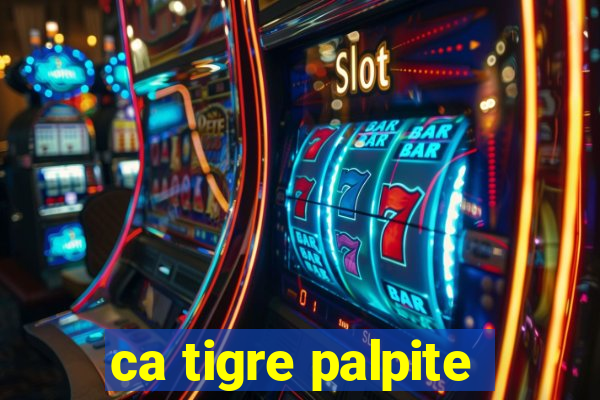 ca tigre palpite